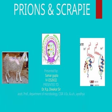 prions and prion diseases in mammals - cjd and scrapie.pptx