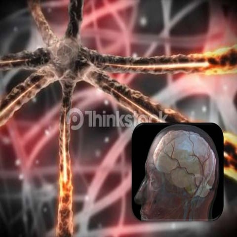 Prions (Infectious Protein) 