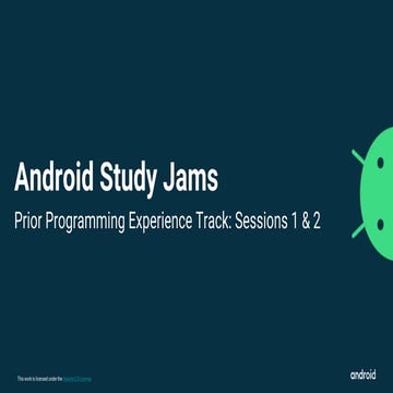 Prior programming experience track | PPT