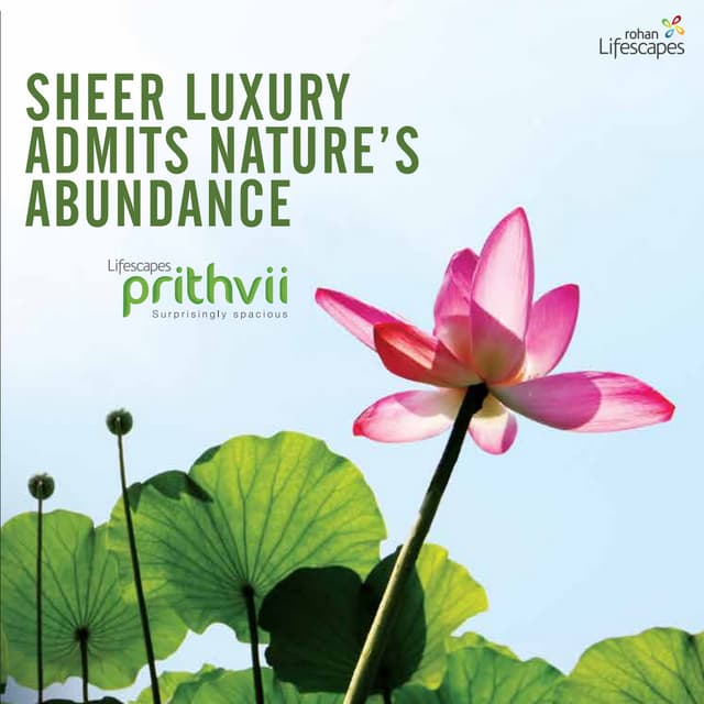 Prithvii - Rohan Lifescapes 
