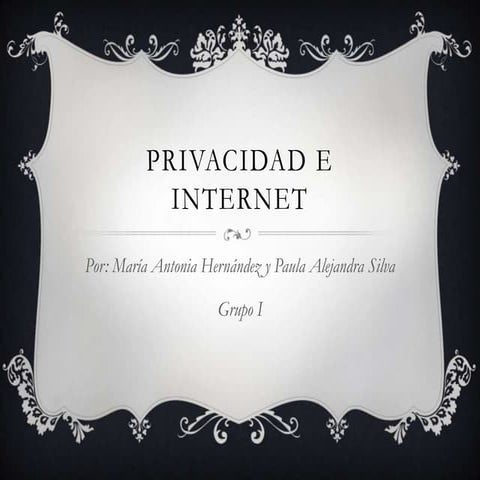 Privacidad e internet