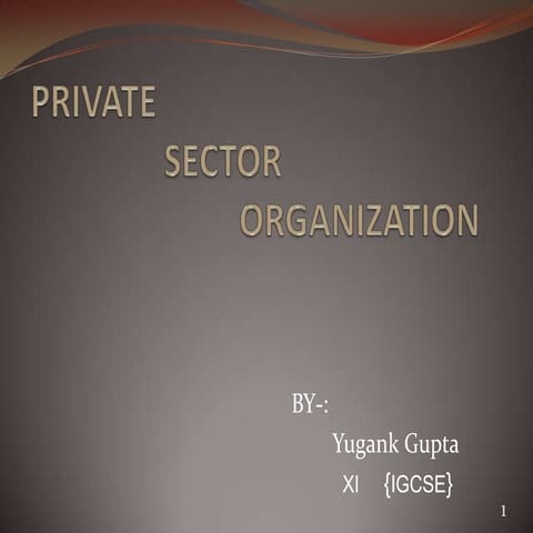 Private sector by yugank TIS
