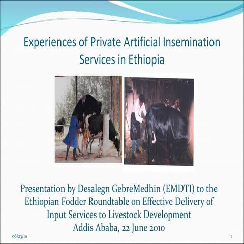 Experiences of Private Artificial Insemination Services in Ethiopia