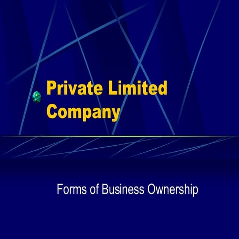 Private Limited Company.ppt