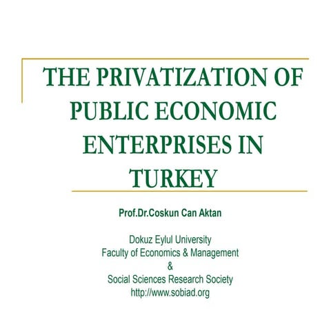 The Privatization Of Public Economic Enterprises In Turkey | PDF