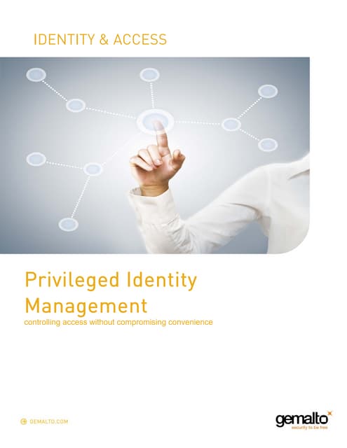 Privileged identity management
