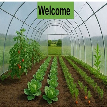 protected cultivation of high-value vegetable crops. | PDF