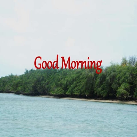 An Investigation on the Impact of Plant-Animal Interactions in the Conservation of Insular   Biodiversity of Mandapam group of Islands.