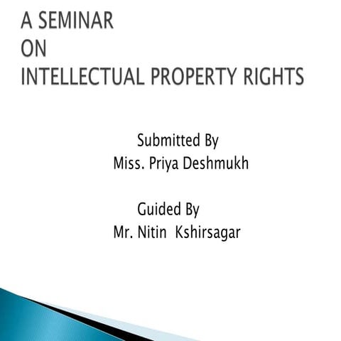 INTELLECTUAL PROPERTY RIGHTS