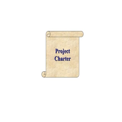 Six Sigma Project Charter