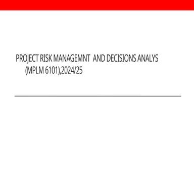 Project Risk Management  and Decision Analysis