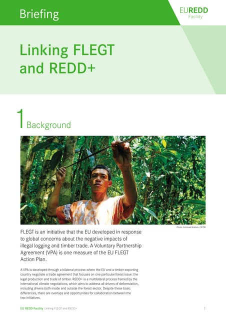 Pro forest - linking flegt and redd