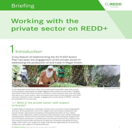 Regulation on deforestation- and forest degradation free supply chains ...