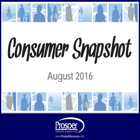 Consumer Snapshot - August 2016