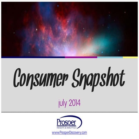 Consumer Snapshot July 2014