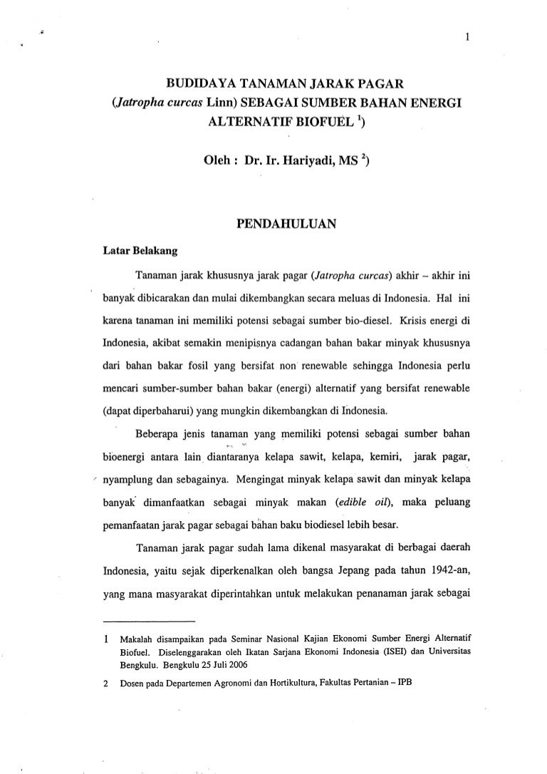 Tanaman Jarak Dapat Dimanfaatkan Sebagai Bahan Baku Energi Alternatif