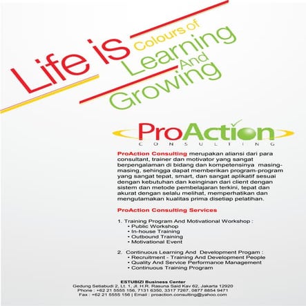 Pro action consulting e brochure