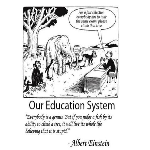 Proactive Feedback Strategies in Online (and Offline) Teaching