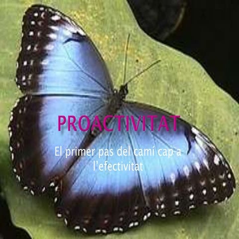 Proactivitat