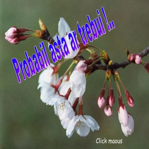 Probabil Asta Ar Trebui