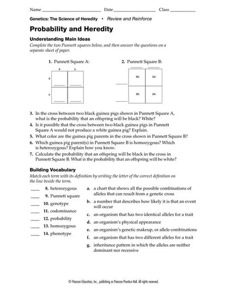 Patterns of Heredity