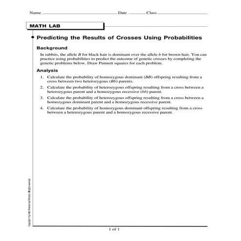 Probability Worksheet | PDF