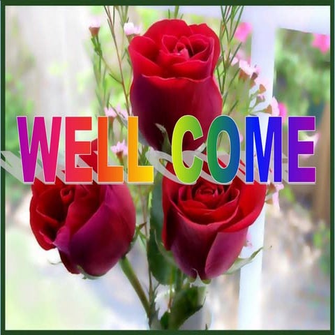 Probablistic sampling group 3 assighnment