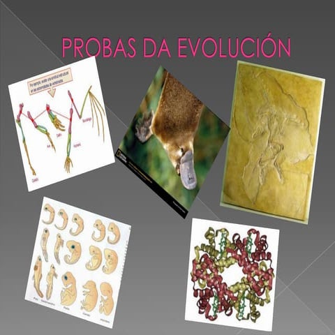 Probas da evolución
