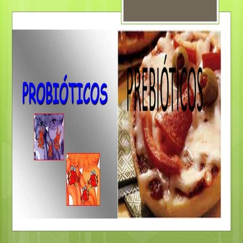 Probioticos