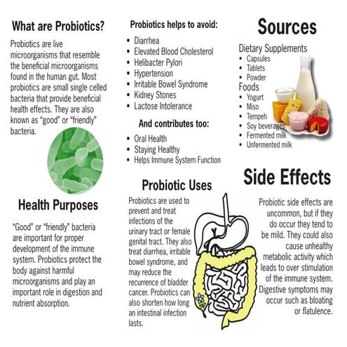 The Basics of Probiotics