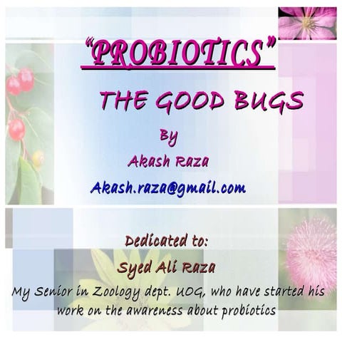 Akash Raza, Student at Universtiy of gujrat, pakistan