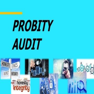 Probity Audit Hans-2.pptx