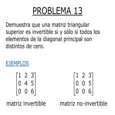 Problema 13