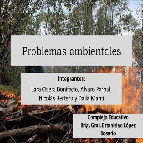 Problemas ambientales   Grupo 12- Brig.lópez