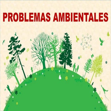 PROBLEMAS AMBIENTALES