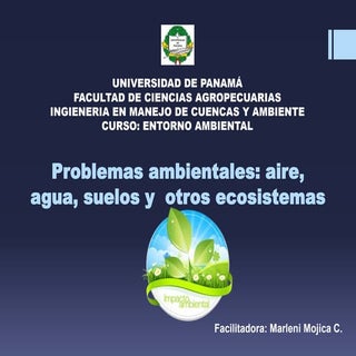 Problemas ambientales aire, agua, s...