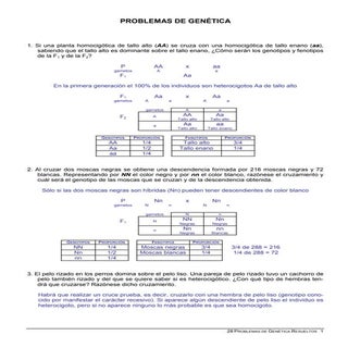 Problemas de genetica