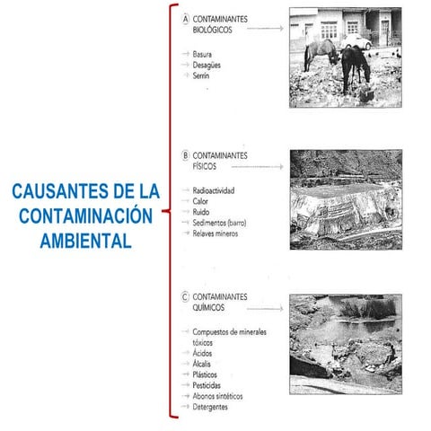 Problemas de la Contaminación Ambiental en el Perú