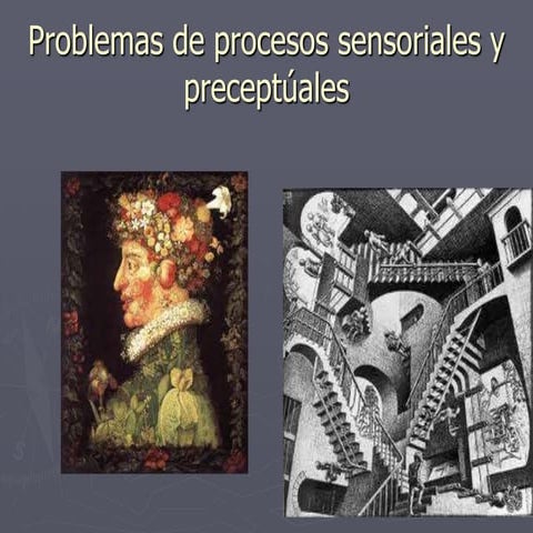 Problemas de procesos sensoriales y perceptuales