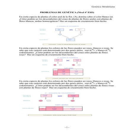 Problemas genética mendeliana resueltos