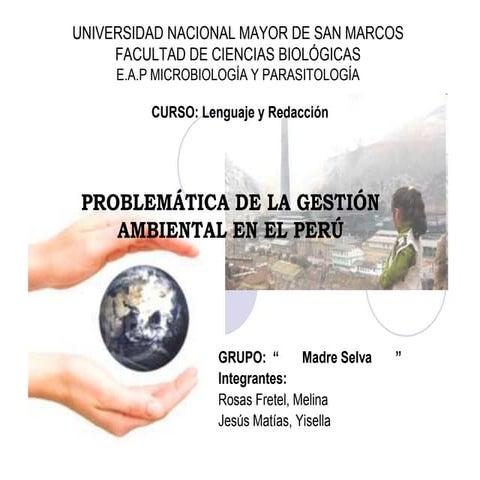 Problematica de la gestion ambiental en el Perú. Grupo 11