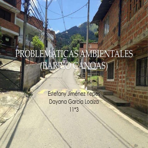 Problematicas ambientales