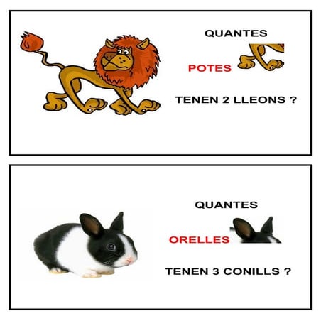 Problemes_enunciat_no_verbal