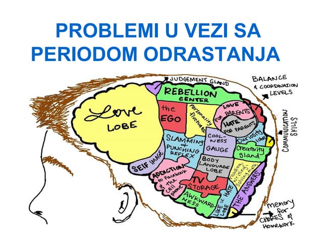 Pubertet i adolescencija | PPTX