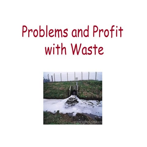 Problems & Profit With Waste