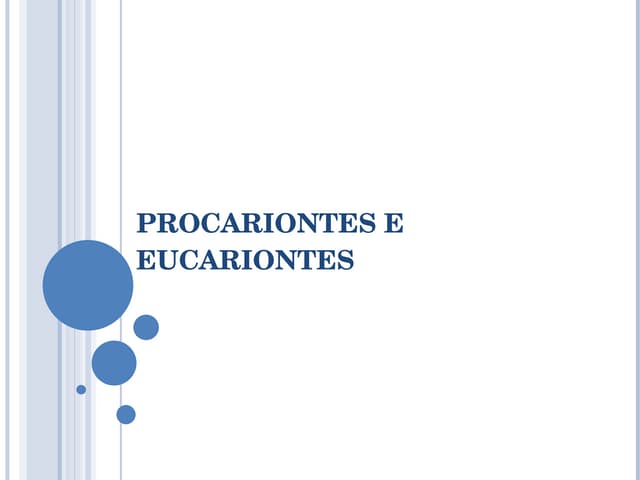 Procariontes e eucariontes
