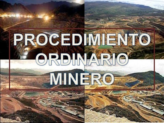 Procedimiento ordinario minero
