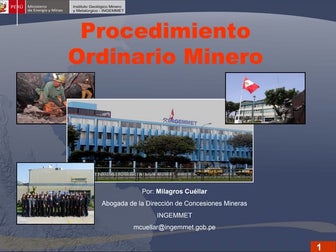 Procedimiento Ordinario Minero