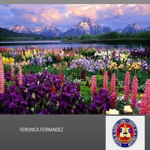 PROCEDIMIENTOS METODOLÓGICOS DEL PROCESO EDUCATIVO DE LA LENGUA MATERNA