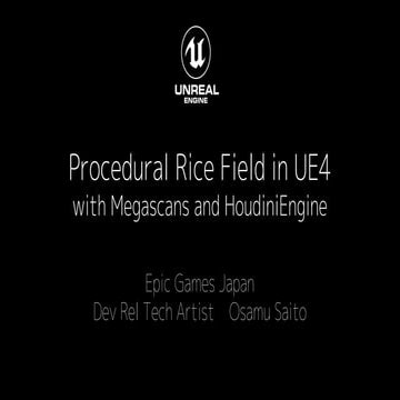 Procedural Rice Field in UE4 (UE4 Environment Art Dive）